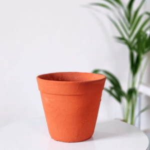 Clay | Terracotta Pots for Plants (5inch Plain)